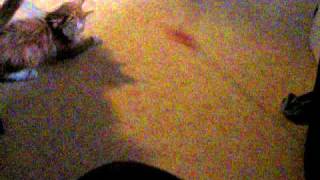 Picture 099.avi