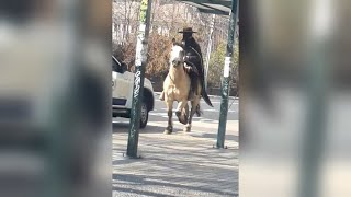"El zorro" de Providencia: anónimo se pasea en caballo y vestido de negro
