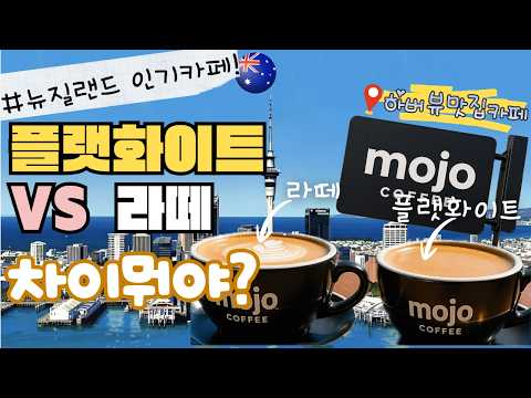 뉴질랜드 커피 플랫화이트 vs 라떼 차이 ☕ 뭐가 다를까? (모조커피 하버뷰 카페)
