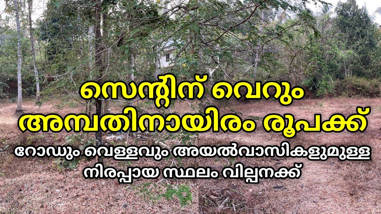 സെന്റിന് വെറും അമ്പതിനായിരം രൂപക്ക്റോഡും വെള്ളവും അയൽവാസികളുമുള്ള നിരപ്പായ സ്ഥലം വില്പനക്ക്