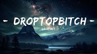 Lilspirit  Droptopbitch s   S Is For Me