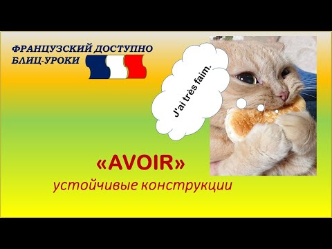 Глагол AVOIR (иметь) во французском языке