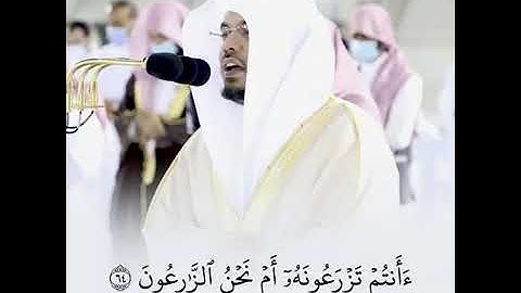 (أفرأيتم الماء الذي تشربون) تلاوة من اروع التلاوات الخاشعه للشيخ ياسر الدوسري