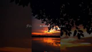 Dekha hazaro dafa aapko ( lyrics video) #shortsvideo #yt #lyricsstaus