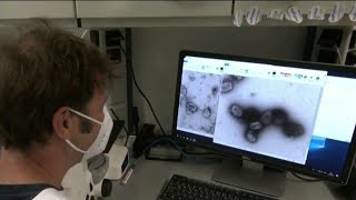 Leaders give update on meningococcal and monkeypox outbreaks