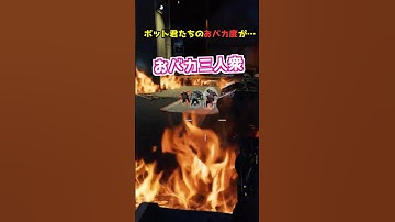 荒ぶるボット君たちのおバカ度が…!?#Shorts #apex