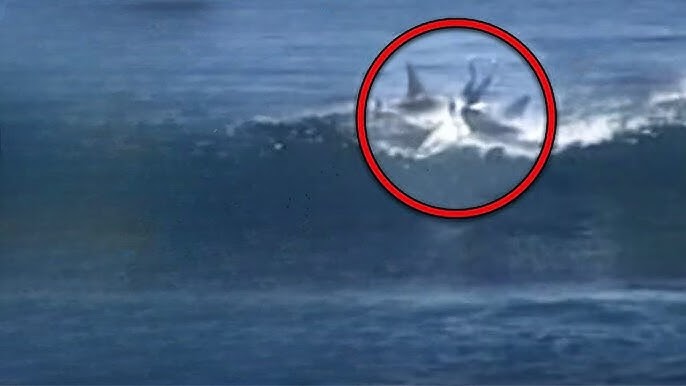2 Great White Sharks Attacked This Surfer At The SAME Time