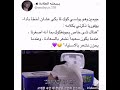 سبب بكاء و سقوط جونغكوك في أداء ايفوريا فيديو