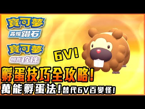 孵蛋全攻略! 沒6V百變怪! 照樣出6V寶可夢!【寶可夢 晶燦鑽石 / 明亮珍珠】| 連鎖延續! 色違 夢特 蛋招式 全整理! - 莎皮塞維爾