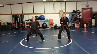 Moo Duk Kwan TaeKwonDo basic stances