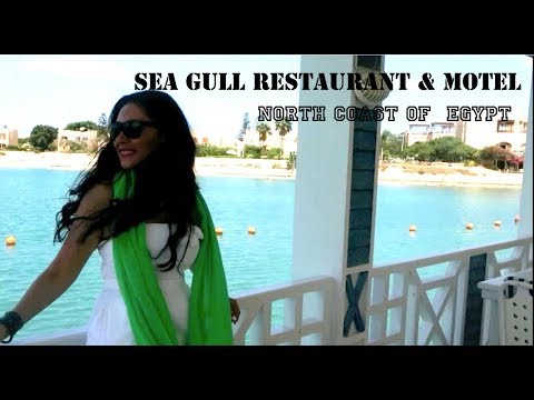 Sea Gull Motel - Sea Gull Restaurant & Motel at the North Coast of Egypt Vlog