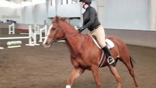 2020Jan25 Chelsea & Desi - 2ft jumpers