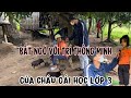 B gi 8 tui thng minh nhanh nhn sng vi b ni trong rng ngho kh