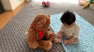 初めて見る熊のぬいぐるみ