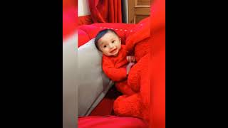 babies cute videos||babies funny videos||animals playing videos