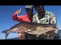 Catching COBIA off of 15FT WIDE MANTA RAYS!! {Catch,Clean,&Cook} BBQ FISH RIBS