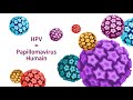 Les hpv cest quoi  comment ten protger   tout savoir sur le papillomavirus humain