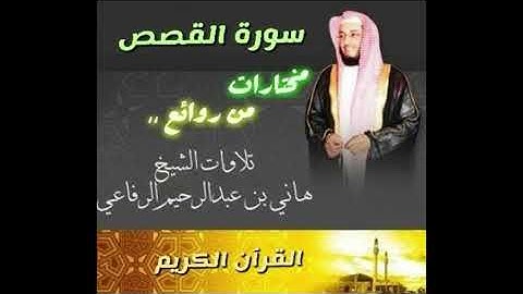 سورة القصص بصوت الشيخ هاني الرفاعي