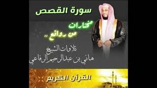 سورة القصص بصوت الشيخ هاني الرفاعي