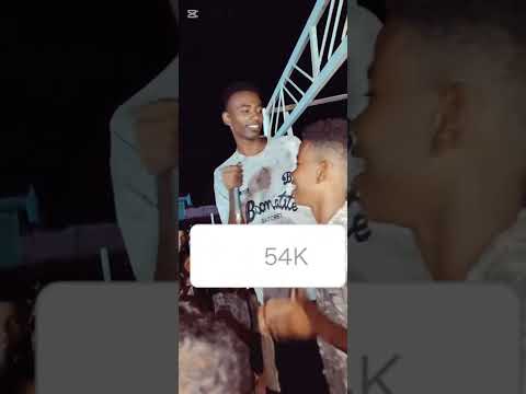 الفنان محمد جمال اغنية نبض قلبنا اغاني رطانة حلفاوين محس دناقلة سكوت هجيج