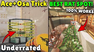 Most Underrated Hard Breach Trick Ever! | The NEW Best Rat Spot! -Rainbow Six Siege Heavy Mettle