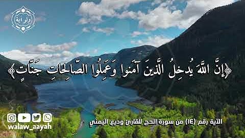إن الله يدخل الذين آمنوا وعملوا الصالحات جنات تجري من تحتها الأنهار - القارئ وديع اليمني