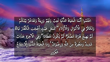 القارئ/نواف حسين محمد