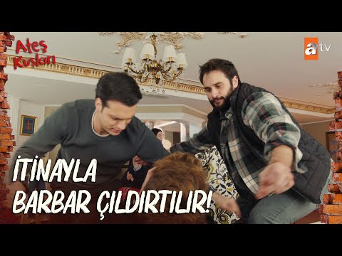 Barbar'ı çileden çıkarma ekibi iş başında!  - Ateş Kuşları 37. Bölüm