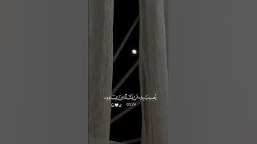 #وان_يمسسك_الله_بضر_فلا_كااشف_له_الا_هو #قران_كريم_راحة_نفسية  #explore #القارئ_عبدالرحمن_مسعد #fyp