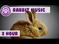 Bunny Sleep Music - The Most Relaxing Rabbit Music EVER!