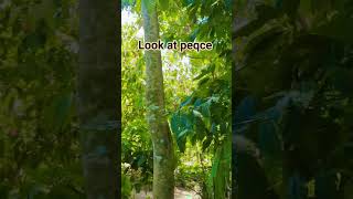 Off grid life style hills and nature #travel #relaxingbath #offgrid