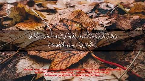 صوت ينسيك العالم بعذوبته //تلاوة هادئة-سورة طه .القارئ انس محمد 🌻Holy Quran