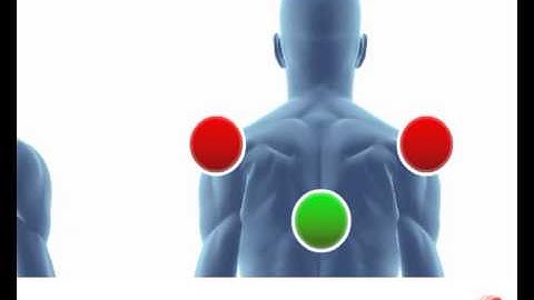 The Performance Matrix