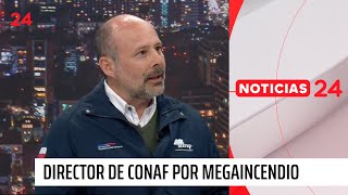 Director de Conaf por megaincendio: “El bombero fue rechazado para ser brigadista” | 24 Horas TVN