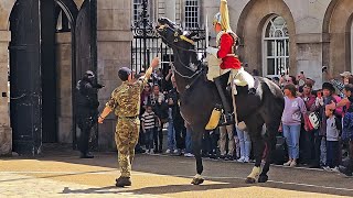 GUARD AND ARMED POLICE SHOUT at idiot tourists to GET BACK from the box at Horse Guards! by London City Walks 17,956 views 8 days ago 1 hour, 8 minutes