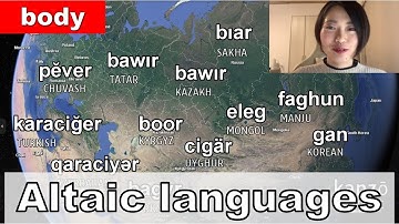 Altaic languages - word comparison with Map, Body section