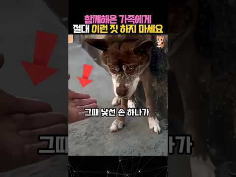 나이들고 병들었다고 이런 짓 하지마세요 #개 #유기견 #dog thumbnail