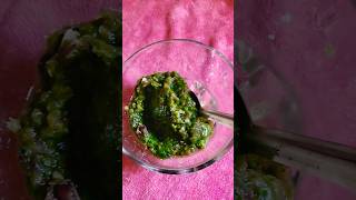 Mint Chutney Pudina Chutney Recipe Chutney Recipes Jyoti Nagar