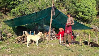 Beautiful Nepali Mountain Village Traditional life of Nepal || Peaceful And Relaxing Village Life