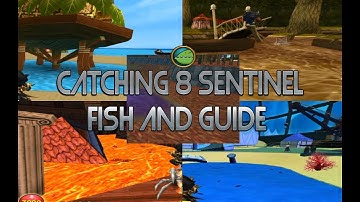 Wizard101 : Catching ALL 8 Sentinel Fish & Guide