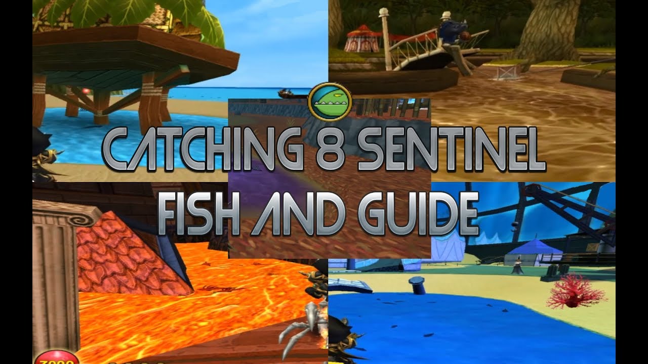 Wizard101 Catching ALL 8 Sentinel Fish & Guide YouTube
