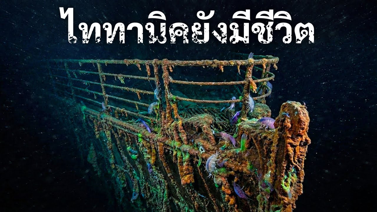 Внутри «Титаника» обитают внеземные формы жизни.