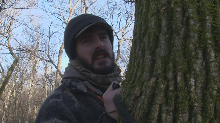 MS Outdoors S31 E11 - Millers Point Deer hunt, Ran...