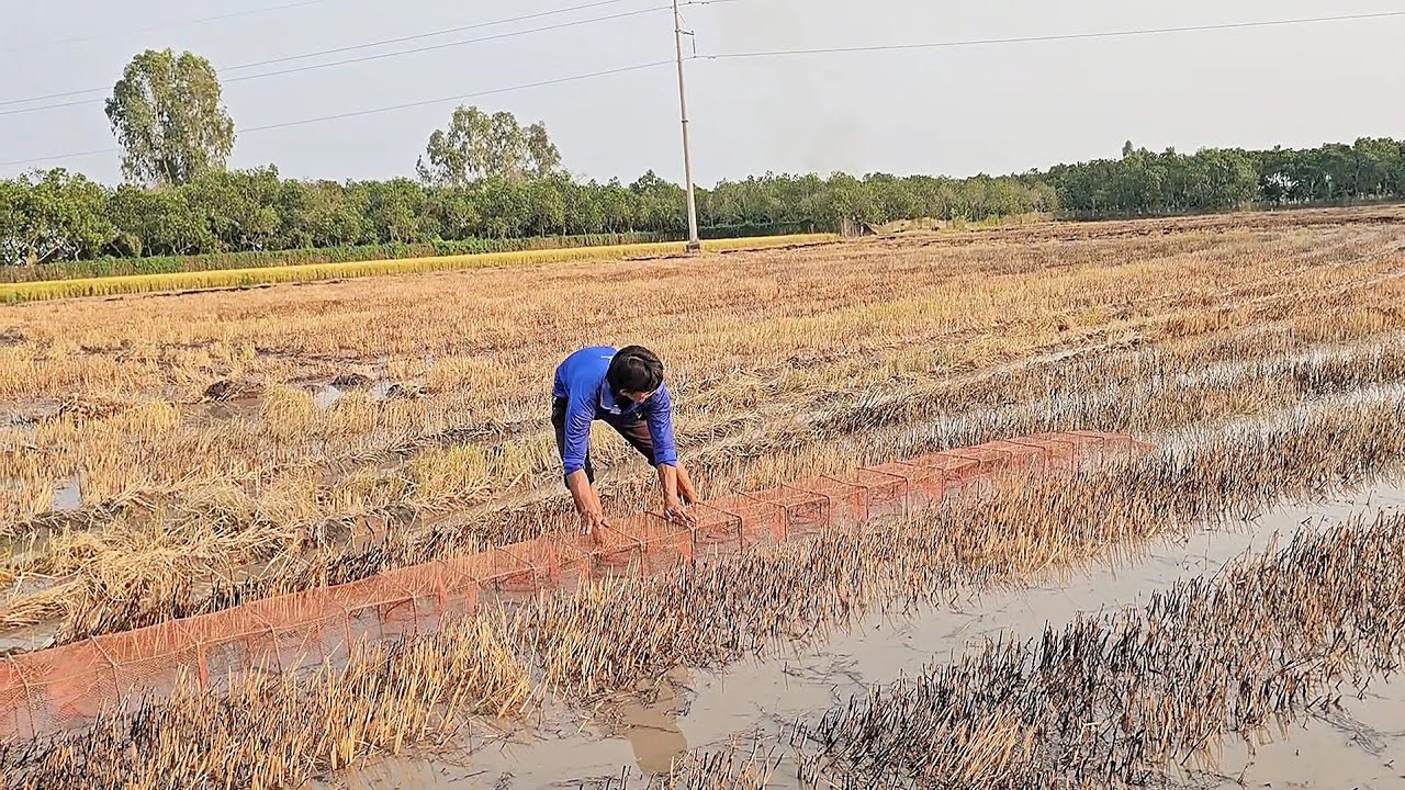 Vợ chồng đồng quê túc ếch đồng nước vịt Kết quả bất ngờ dính toàn em bự @VợChồngĐồngQuêTV