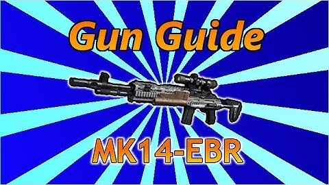 COD Ghost Gun Guide: MK14-EBR