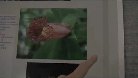 Heather Driscoll, Botany & Mycology 2009 Poster In...
