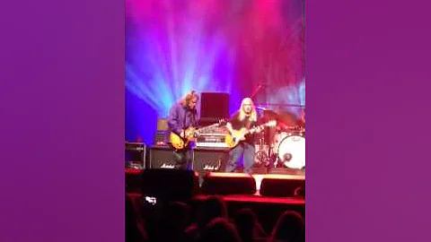 GOVT MULE & GREG MARTIN   Video by Kay Clark