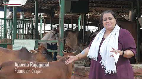 She sells cow dung products but not milk to save n...