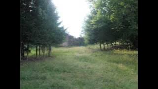 Zoran Kalezić -  Svi mi kažu