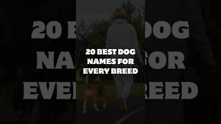20 Best Dog Names for Every Breed | Cute, Popular & Unique Puppy Name Ideas